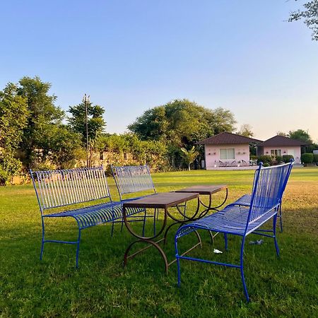 Gazibo Elegant Farm Stay With Swimming Pool Jaipur Ngoại thất bức ảnh