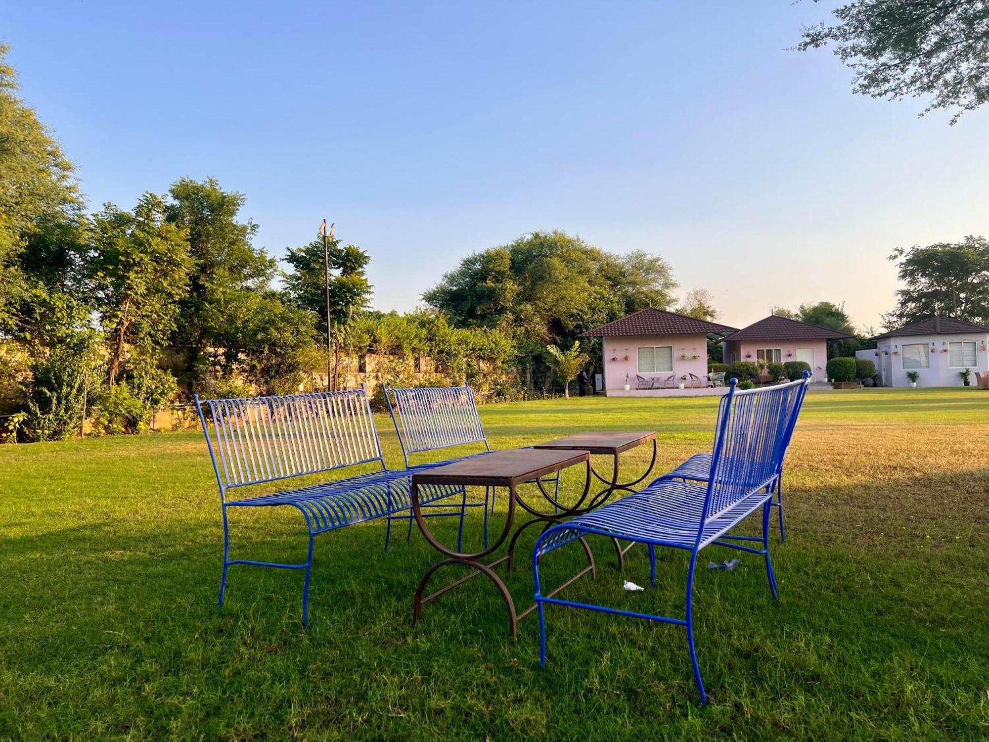 Gazibo Elegant Farm Stay With Swimming Pool Jaipur Ngoại thất bức ảnh