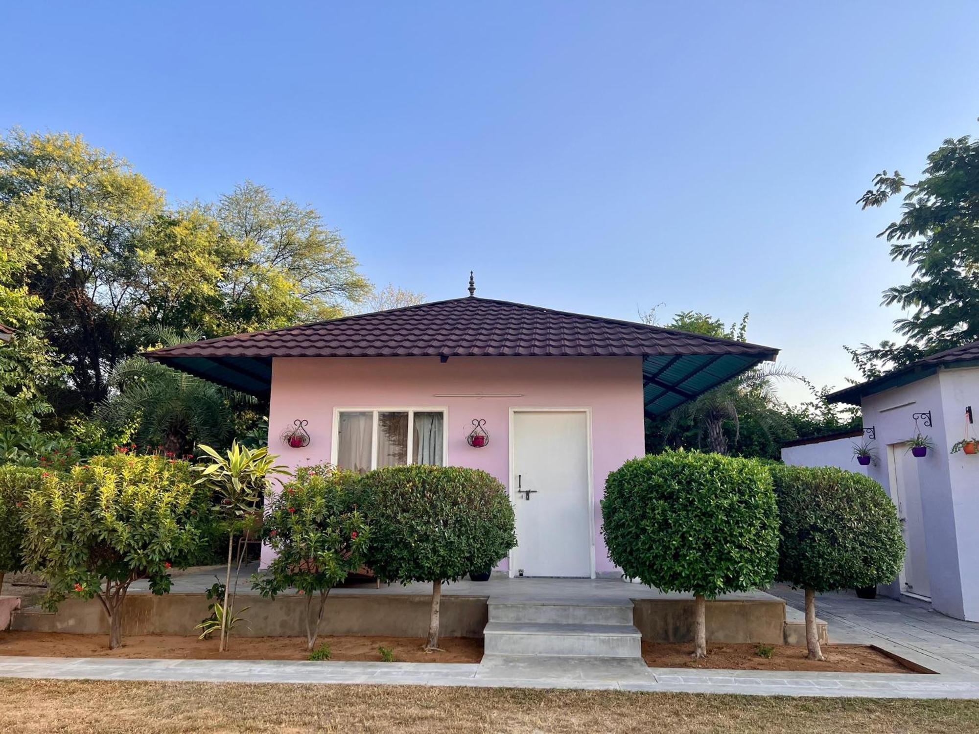 Gazibo Elegant Farm Stay With Swimming Pool Jaipur Ngoại thất bức ảnh